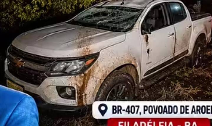 Animal solto na BR-407 provoca acidente com deputado Roberto Carlos na Bahia