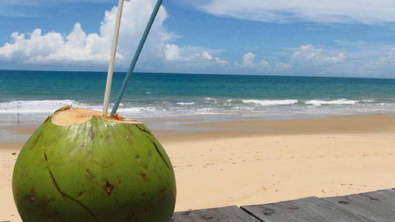 Bahia terá feriadão de quatro dias no início de novembro após mudanças feitas pelo Governo; confira