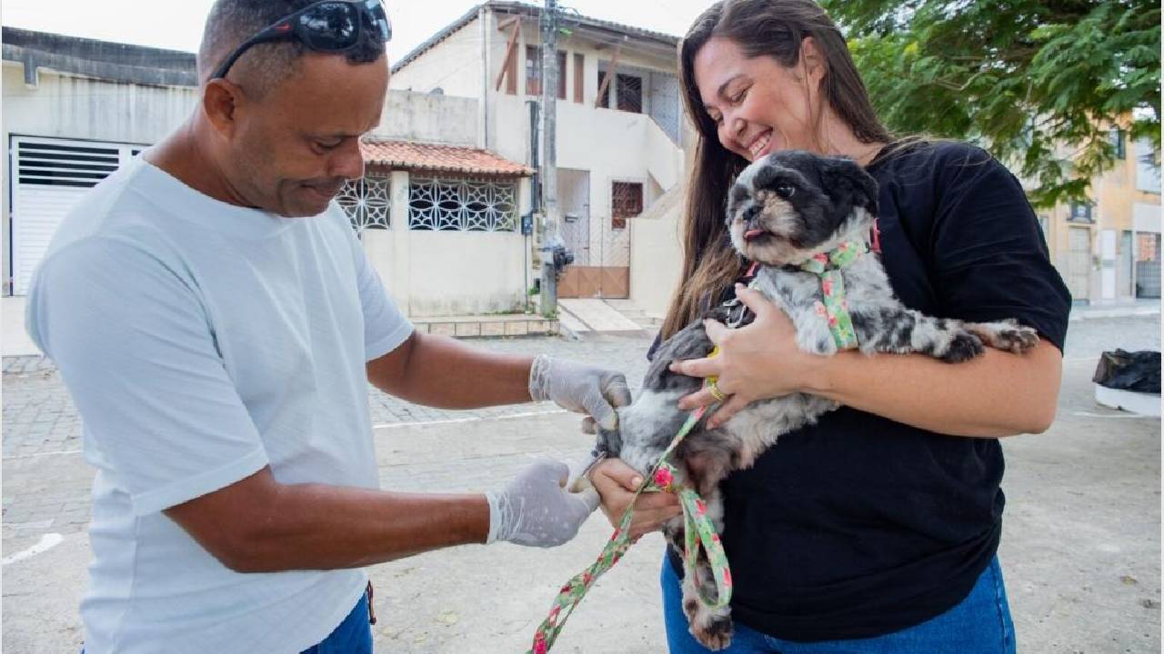 Dia D da Vacinação Antirrábica será realizado neste sábado em Serrinha