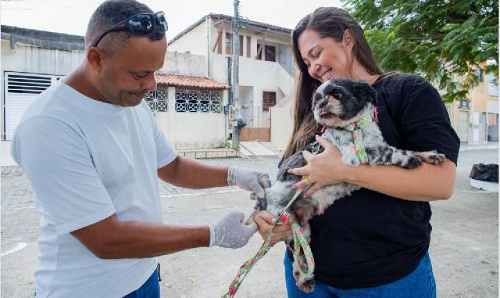 Dia D da Vacinação Antirrábica será realizado neste sábado em Serrinha
