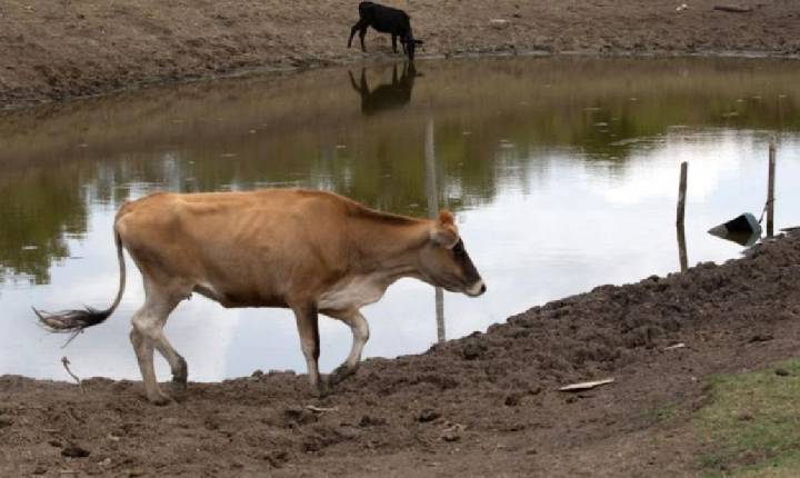 El Niño está mudando o clima e o Nordeste pode sentir os efeitos; veja o que prevê a nova projeção
