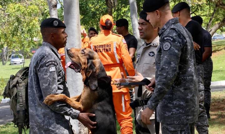 PM da Bahia treina cães para localizar pessoas desaparecidas e suspeitos