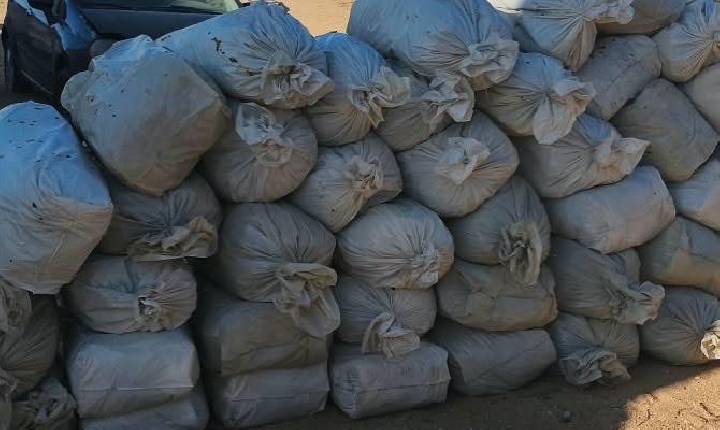 Polícia encontra 323 kg de maconha escondidos entre caixas de frutas em caminhão na BR-116 na Bahia
