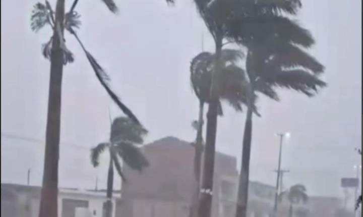 Vídeo: chuva de granizo e ventos fortes surpreendem moradores de município da região do sisal 