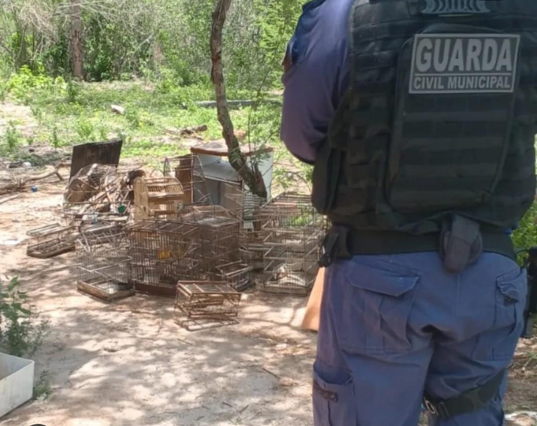 Ação resgata aves silvestres mantidas em condições inadequadas em Serrinha