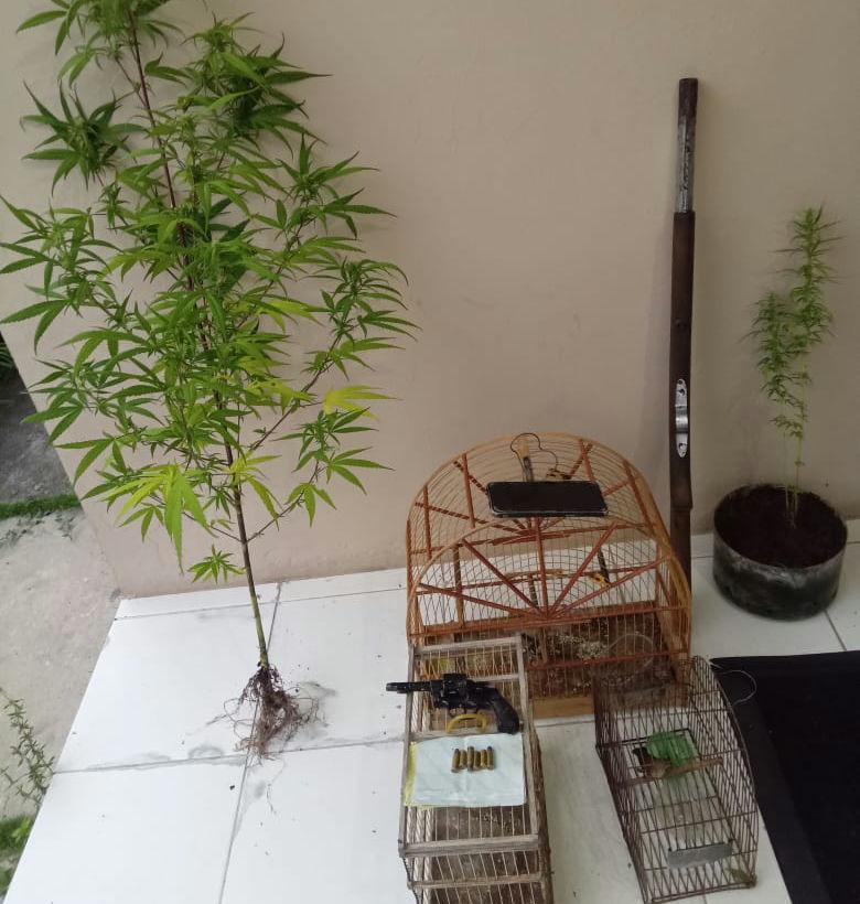 Homem é preso em Teofilândia por porte de arma, drogas e crime ambiental