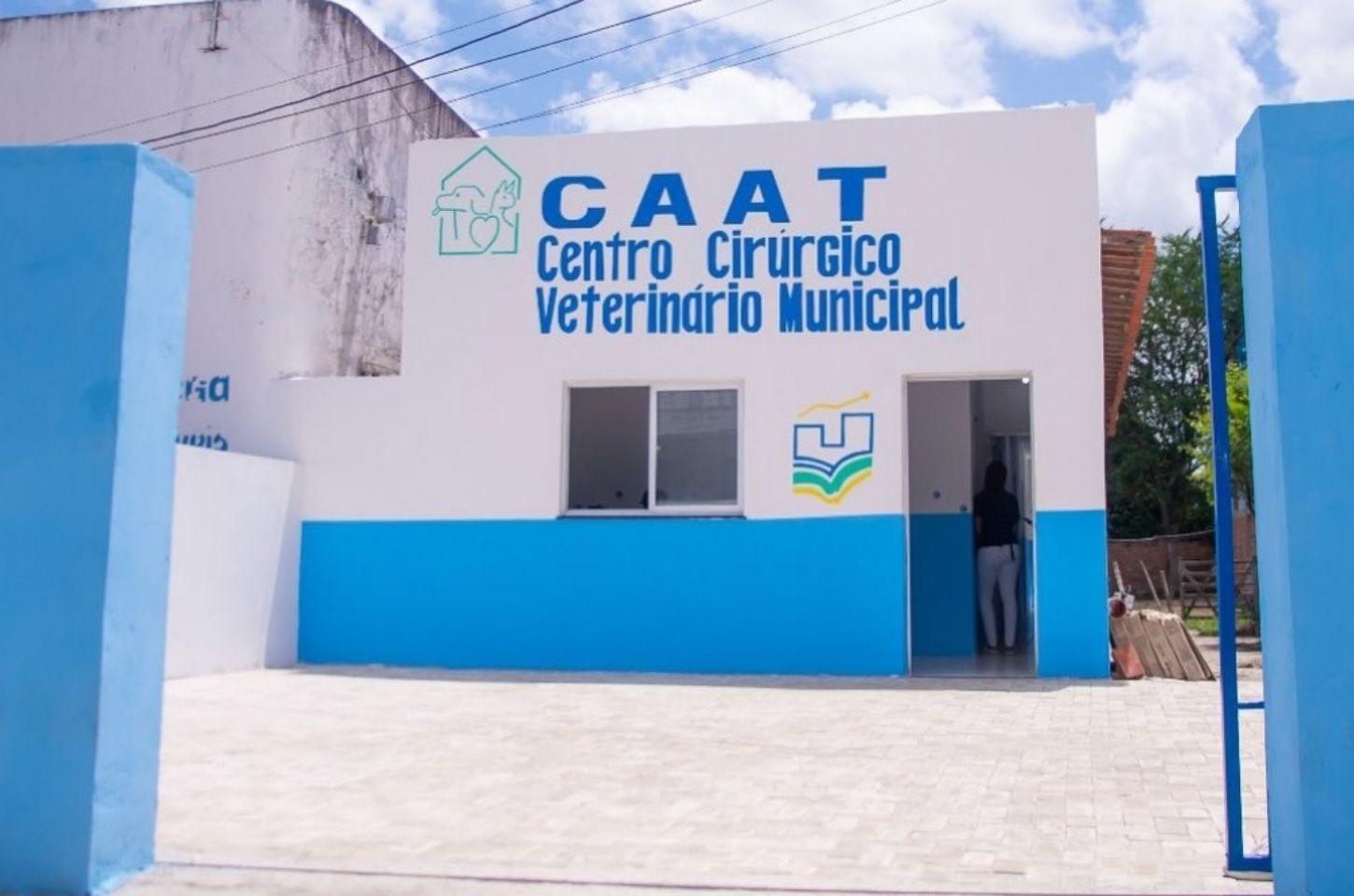 Ação de Castração de gatos segue até sexta em Serrinha; Confira detalhes
