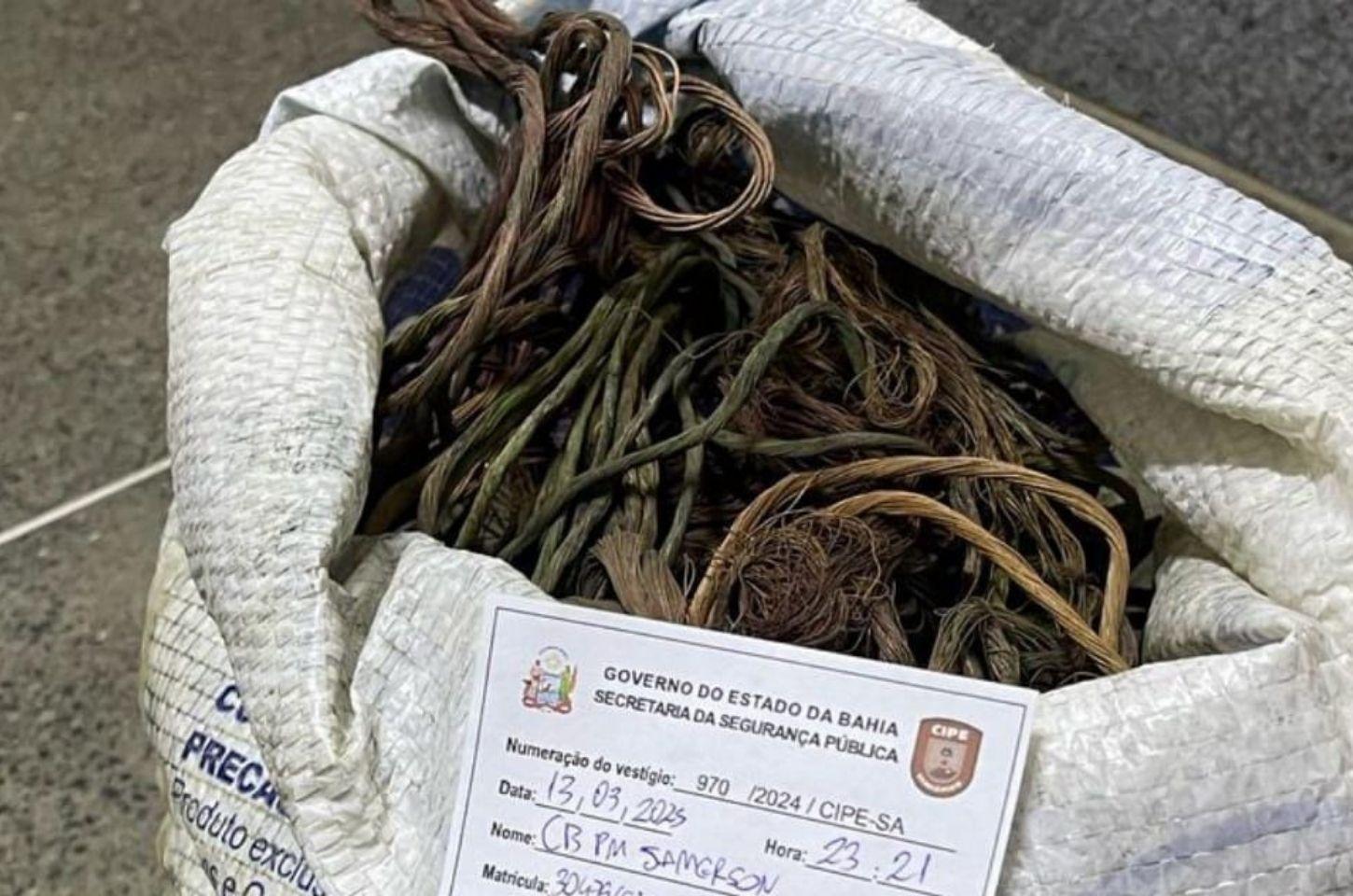 PM prende homem após furto de fios de cobre na Bahia
