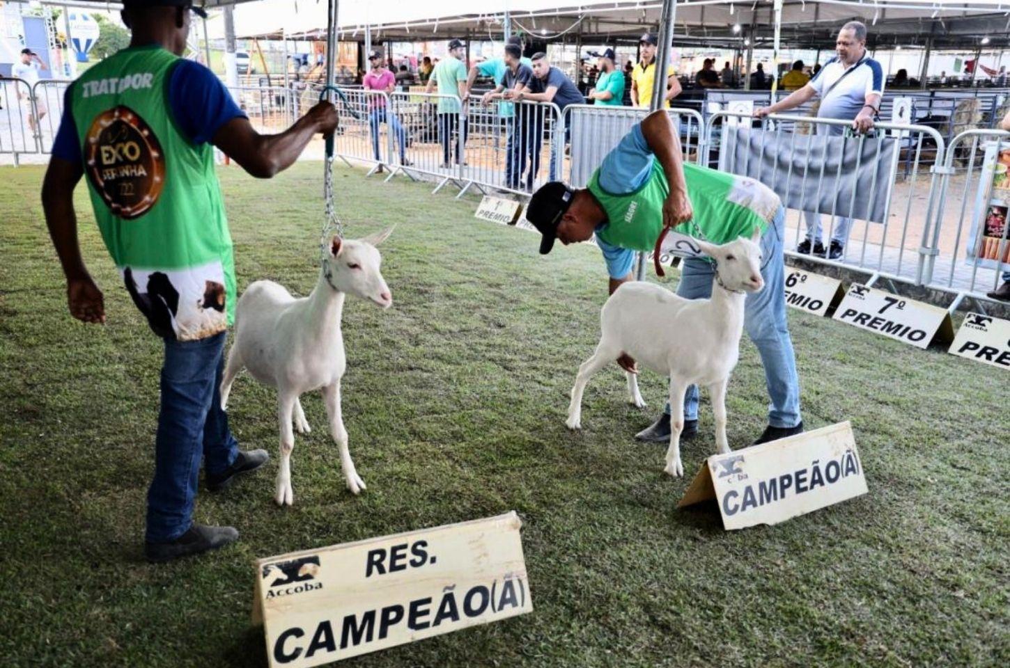 Seagri confirma ExpoSerrinha 2025 em novo local e anuncia outras novidades