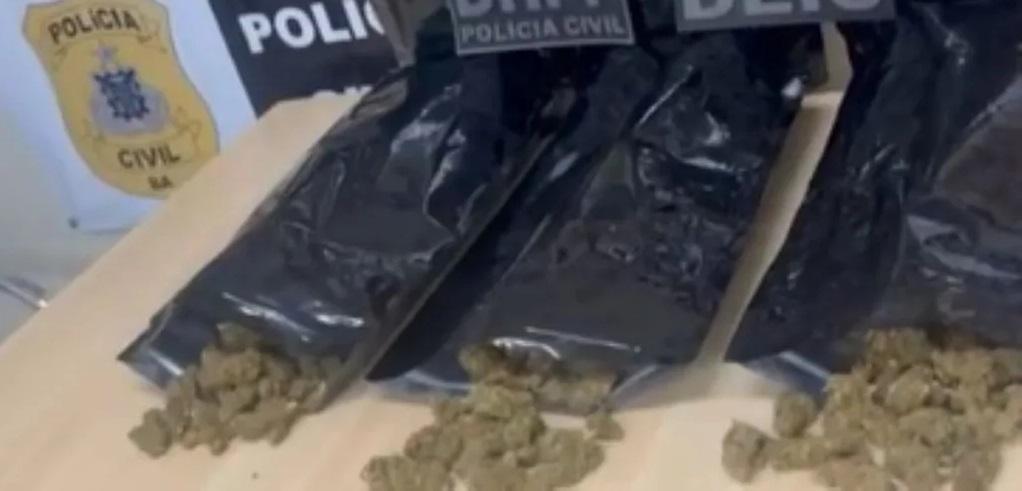 Operação policial impede envio de maconha para Feira de Santana