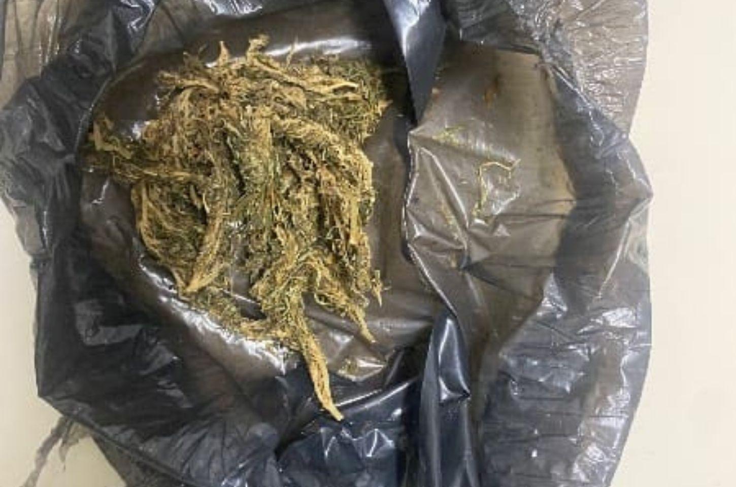 Polícia apreende drogas em Serrinha; suspeitos fugiram ao avistar viatura