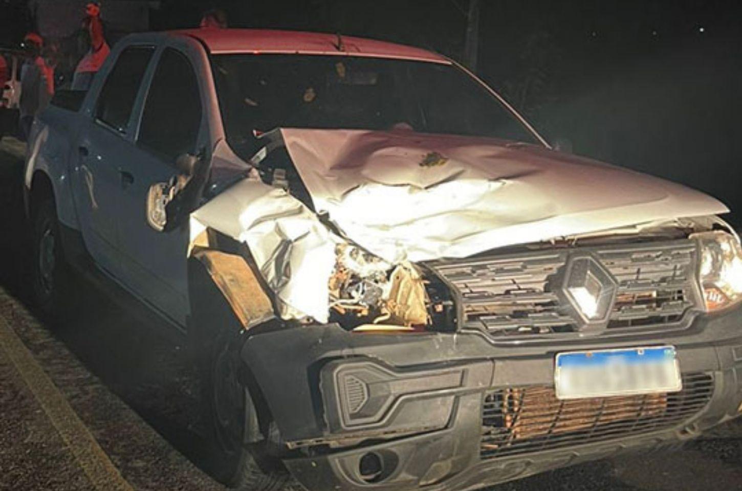 Animal solto provoca acidente na BA-120 e deixa motorista ferido em Valente