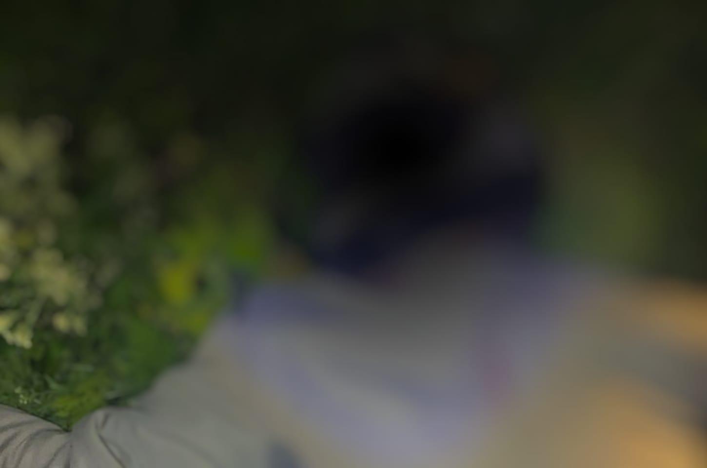 Jovem é morto a tiros em área de matagal em Serrinha