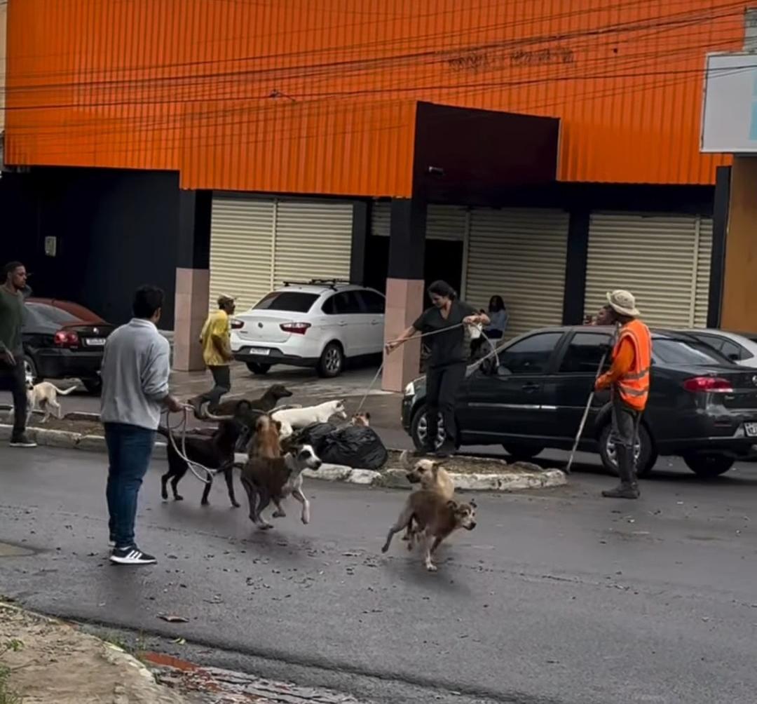 Cadela no cio é resgatada em Serrinha para evitar acidentes e desordem urbana