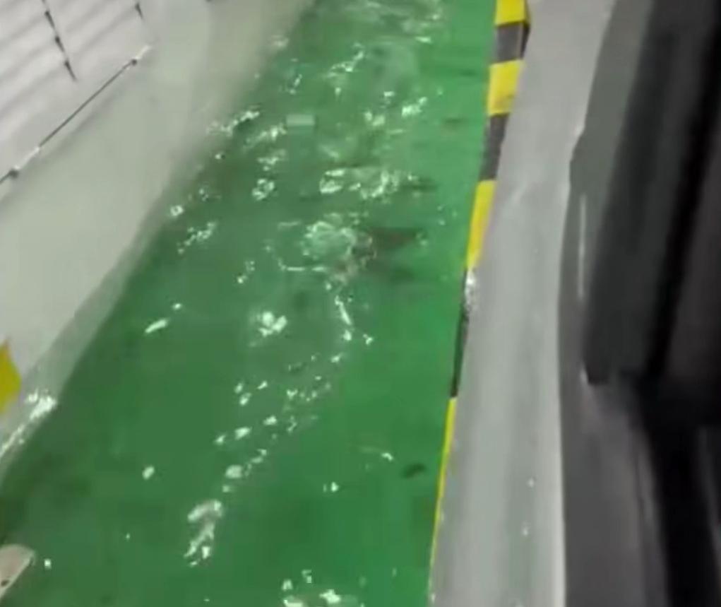 Ferry boat Maria Betânia tem área de veículos alagada durante travessia