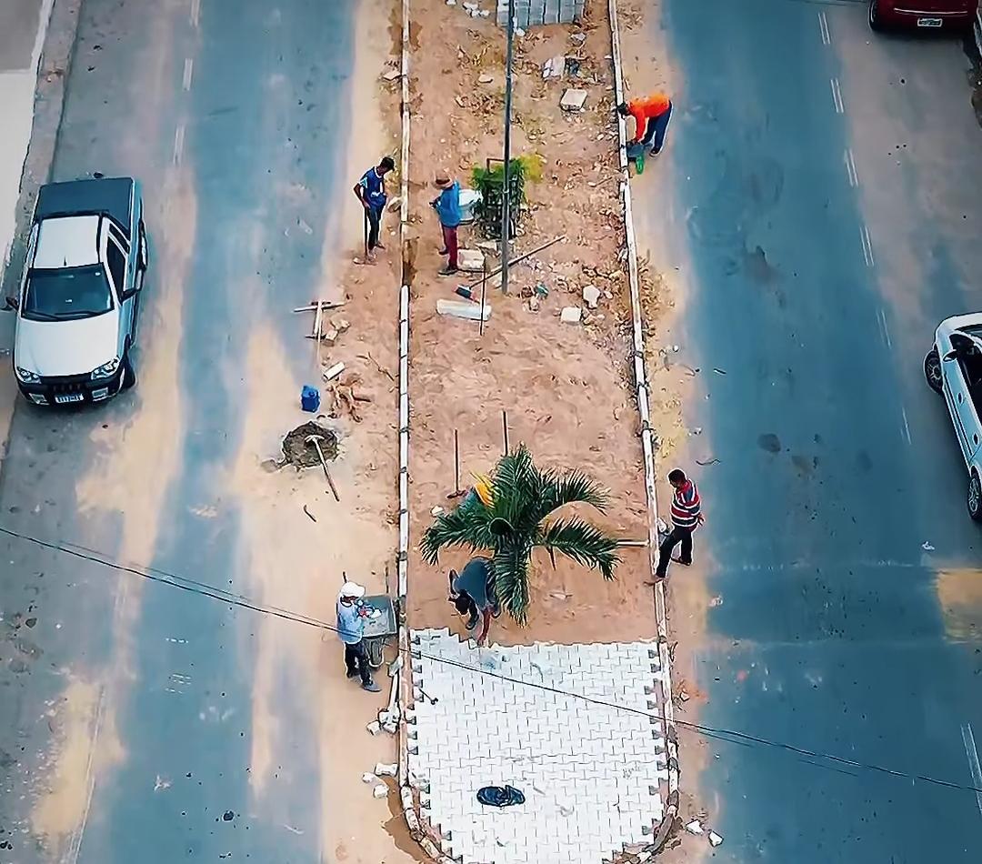 Secretário de Meio Ambiente de Serrinha explica retirada e replantio em obras no 