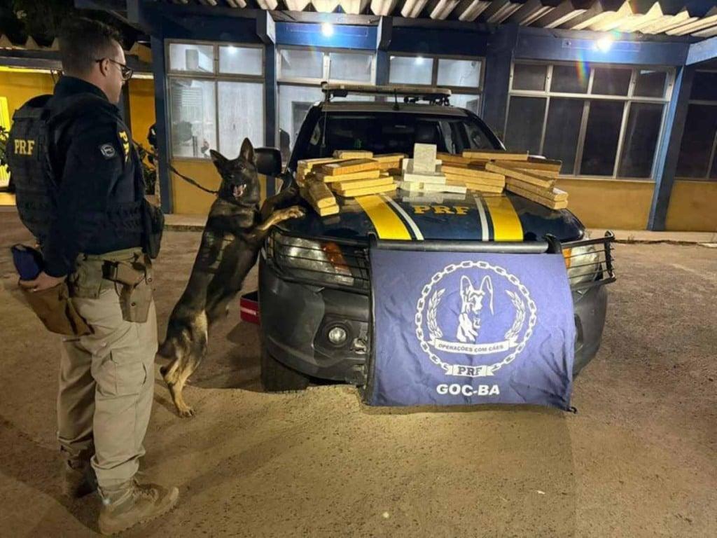 Mais de 34 kg de drogas são apreendidos pela PRF na BR-116