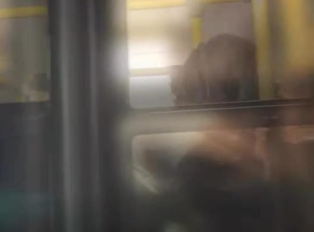 Vídeo: Passageira e cobradora saem no tapa dentro de ônibus em Salvador