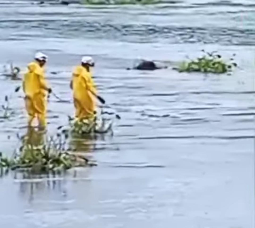 Corpo é encontrado boiando em rio na Bahia