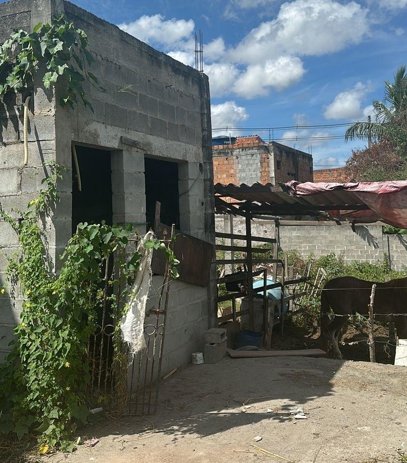 Jovem de Serrinha é encontrado morto com cinco tiros no Feira X