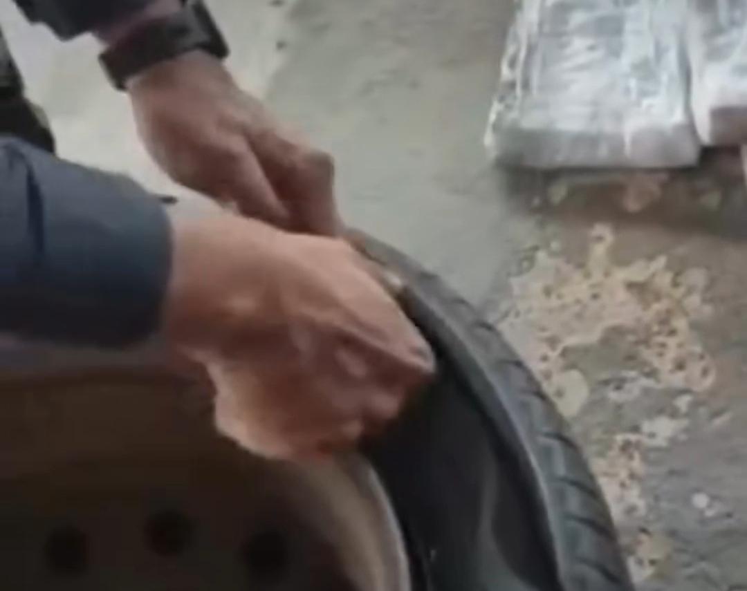 Mais de 100 canetas emagrecedoras são localizadas em estepe de carro