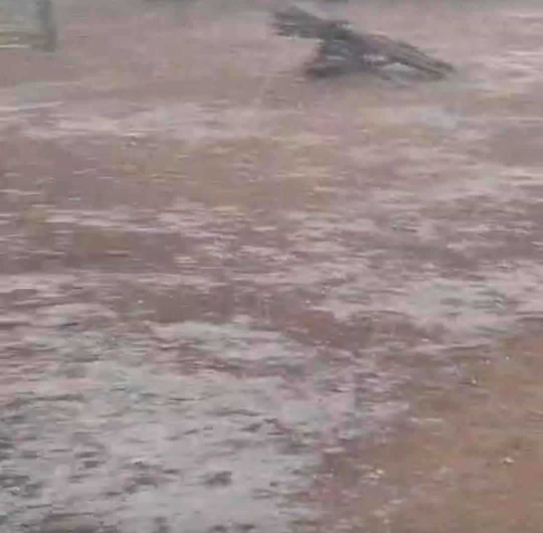 Vídeo: chuva de granizo surpreende moradores e atinge povoados de Serrinha