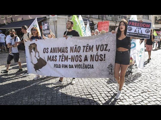 Mobilização em Serrinha vai às ruas contra maus-tratos a animais