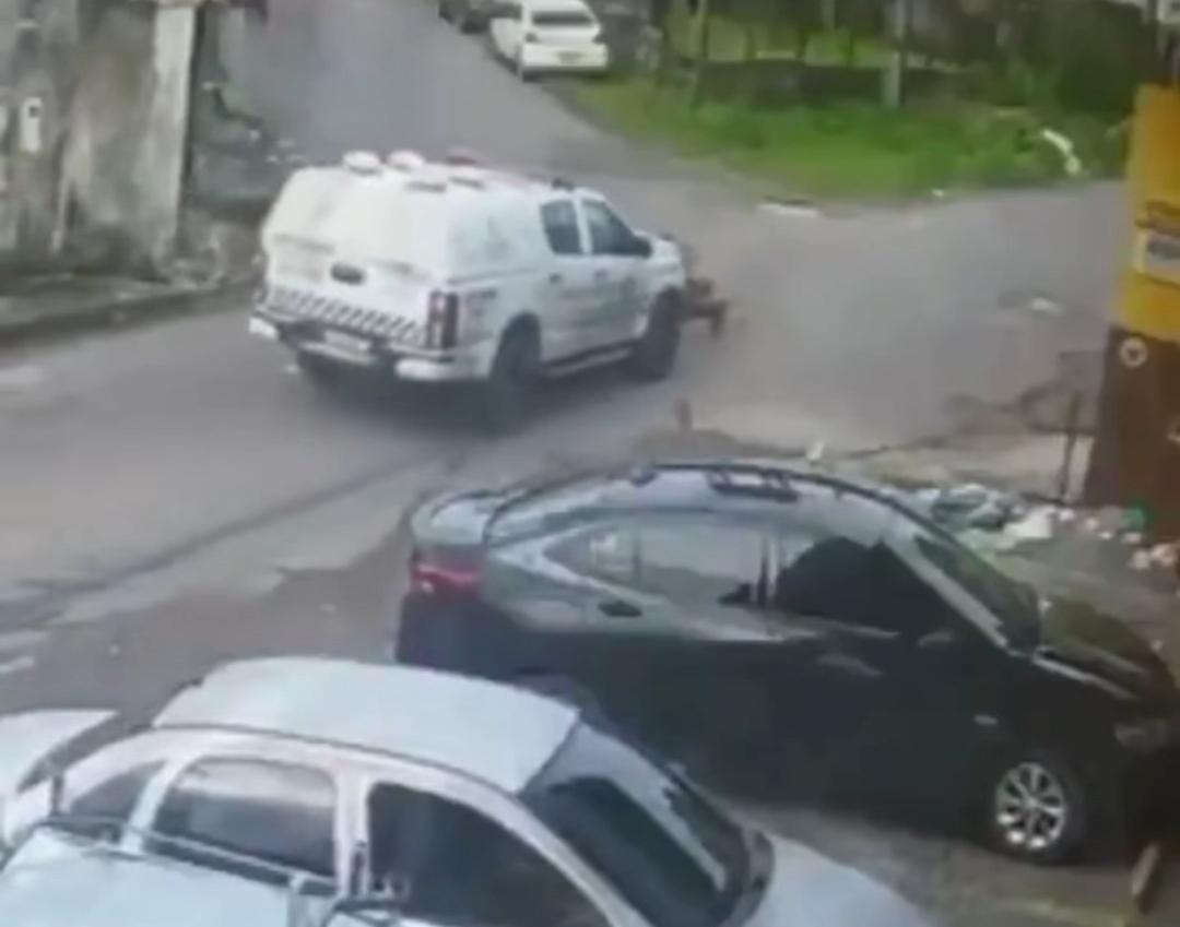 Vídeo: duas cadelas morrem após serem atropeladas por viatura da PM
