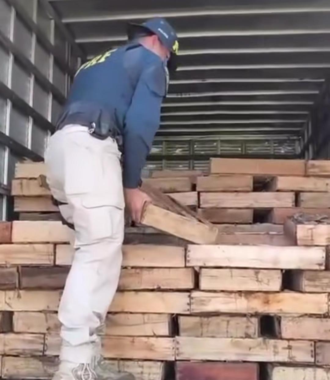 PRF apreende 9 toneladas de peixe transportadas de forma irregular na BR-116, na Bahia