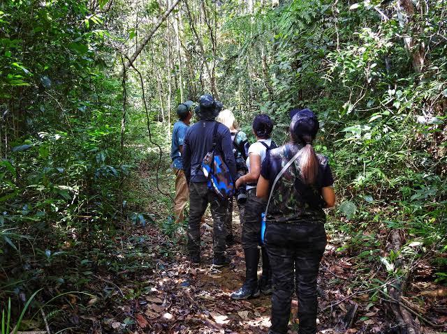 Trilha ecológica marcará celebração do mês da Mulher em Serrinha