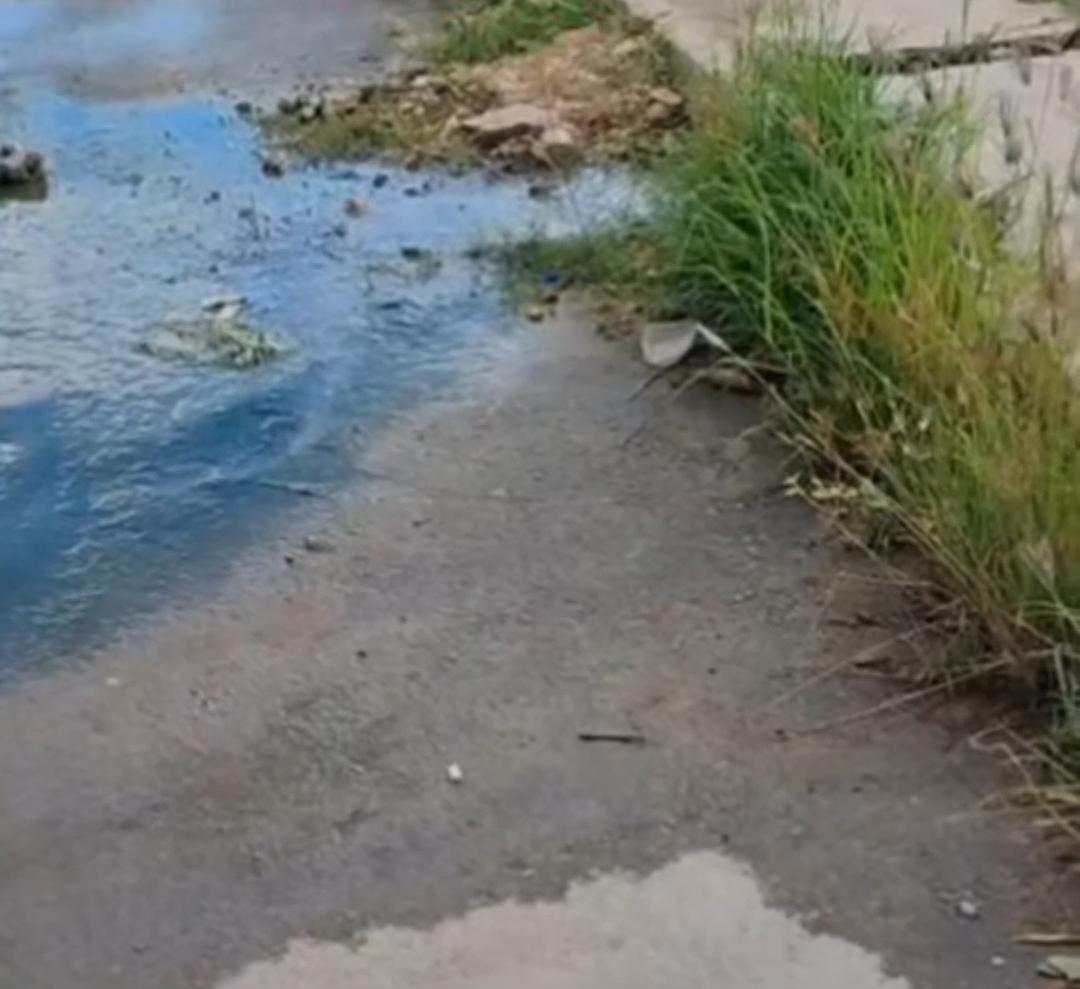 Moradores denunciam esgoto a céu aberto e cobram solução urgente em avenida de Serrinha