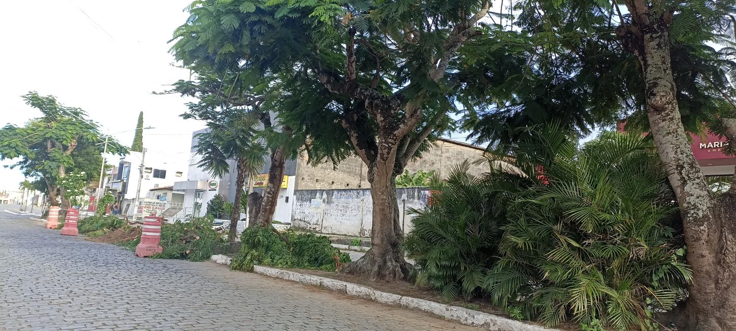 Prefeitura de Serrinha inicia processo de requalificação do canteiro da Rua Joaquim Hortélio