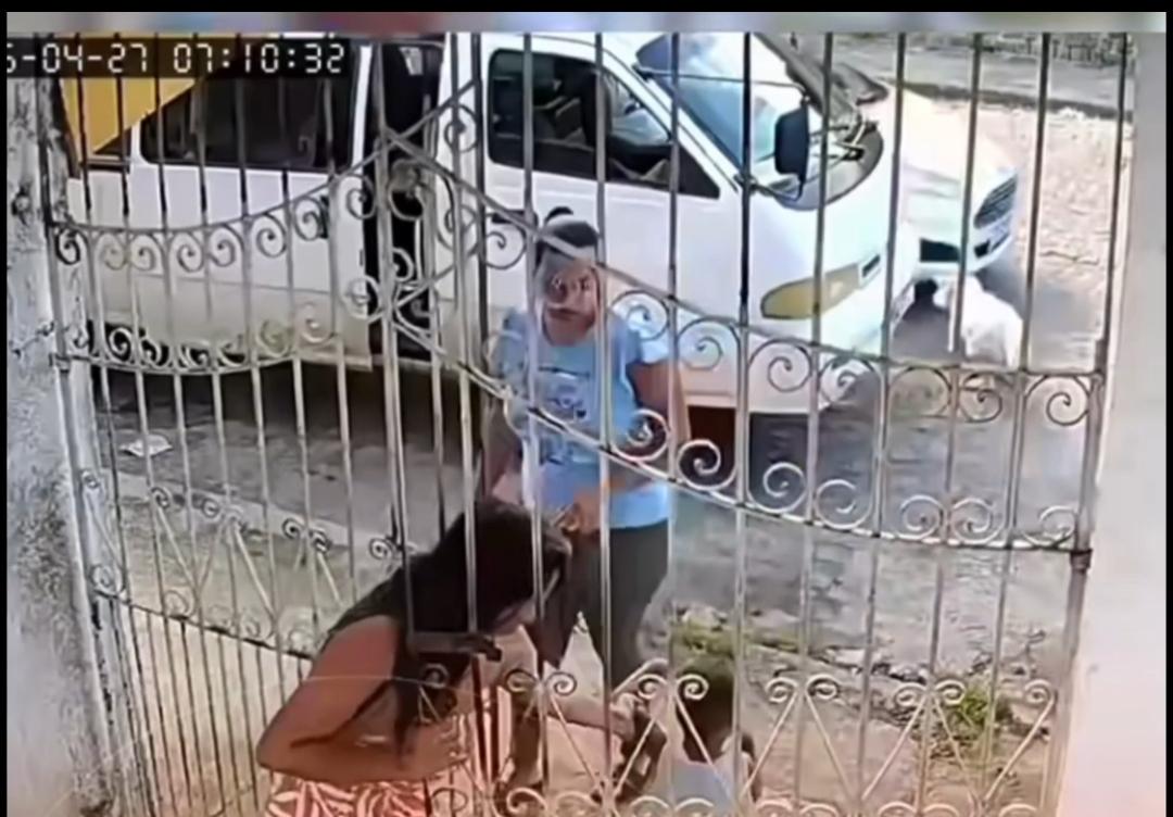Vídeo: proprietária de pitbull envolvido em ataque em Cruz das Almas afirma que animal escapou por acidente