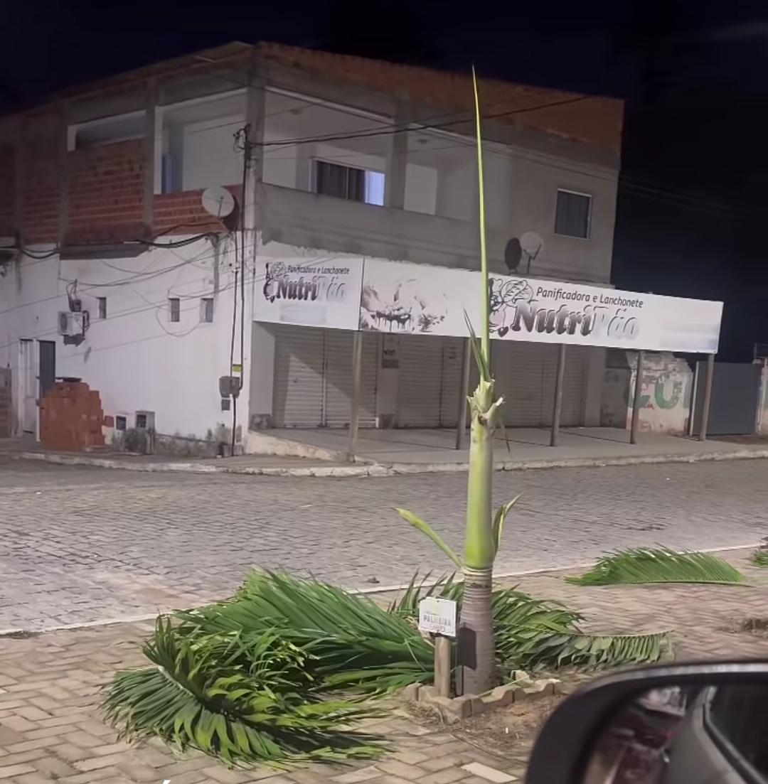 “É um crime ambiental e dinheiro público foi destruído”, diz secretário após vandalismo em Serrinha