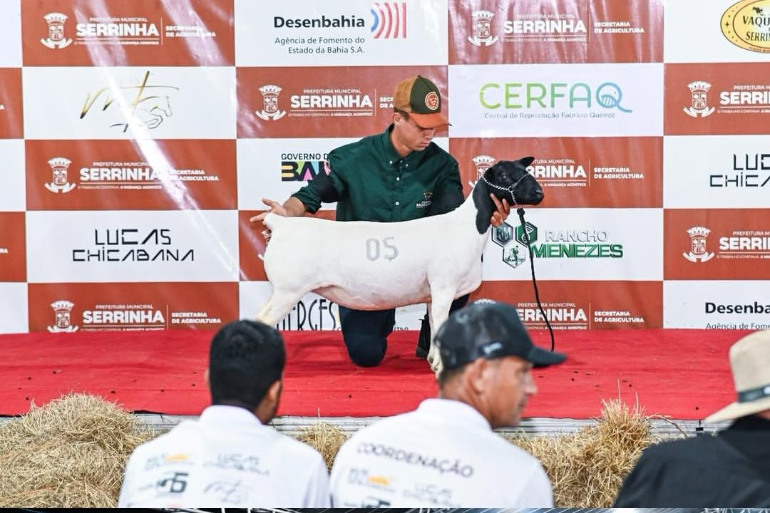 Expo Serrinha 2026 atrai multidão, amplia programação e registra números expressivos