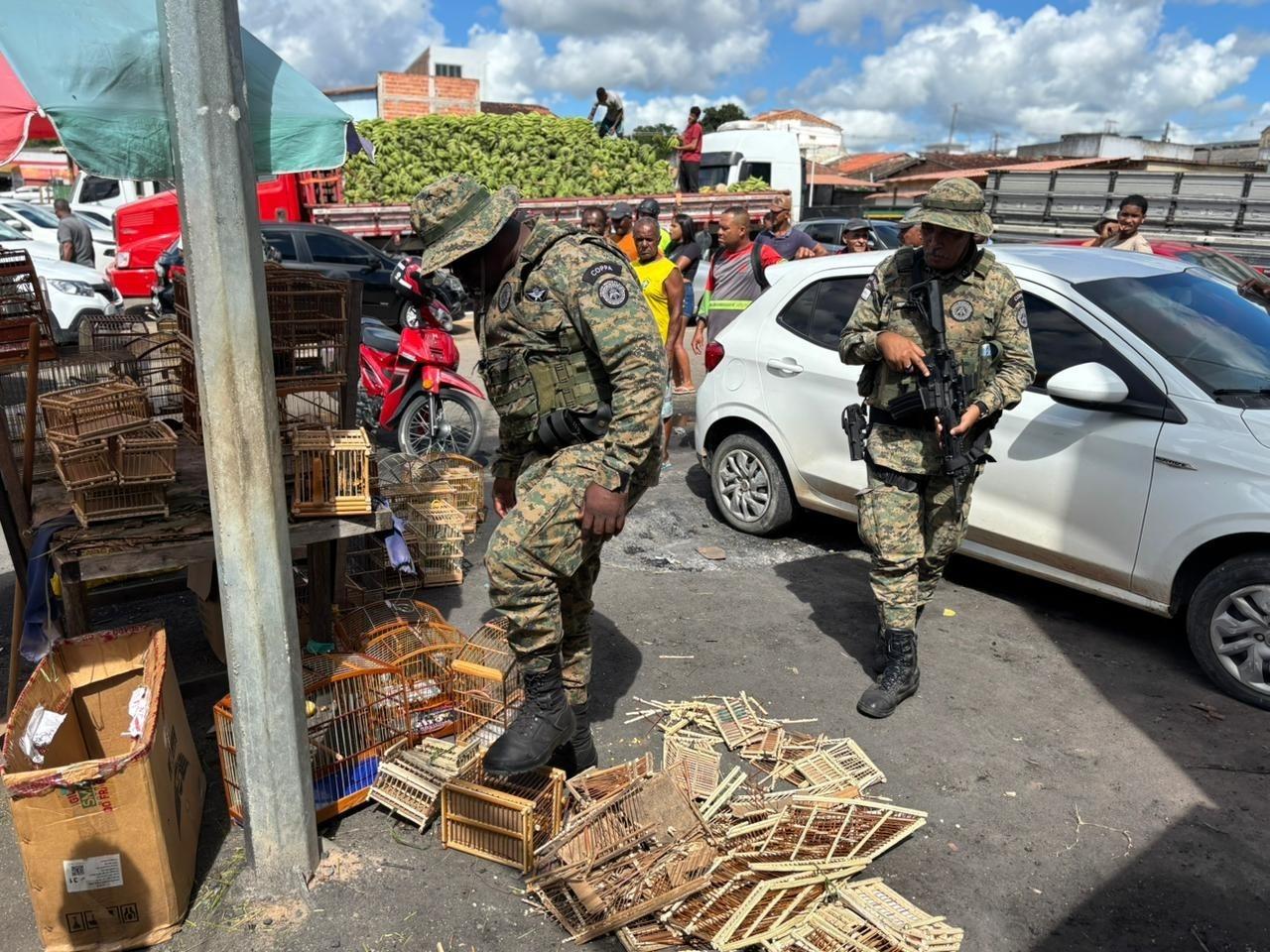 Operação da PM resgata 65 aves silvestres e leva cinco pessoas à delegacia em duas cidades da Bahia