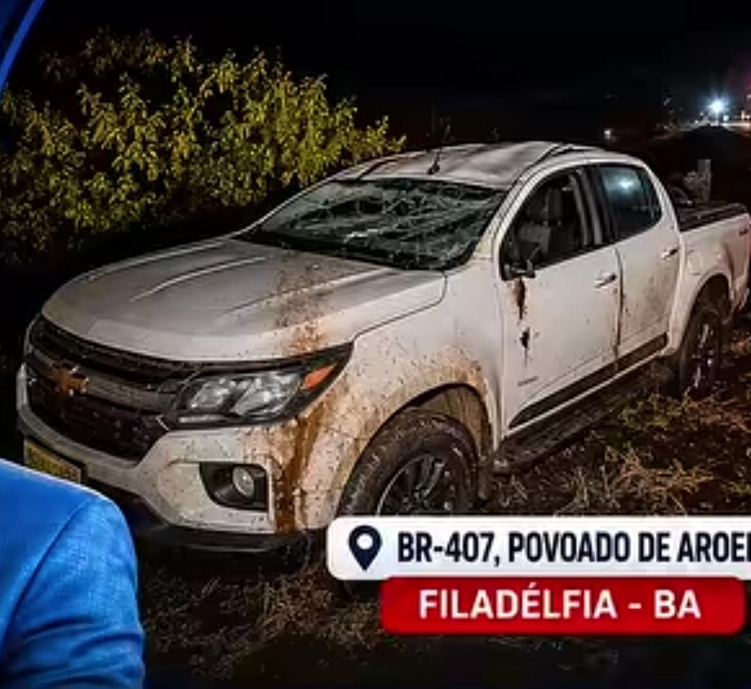 Animal solto na BR-407 provoca acidente com deputado Roberto Carlos na Bahia