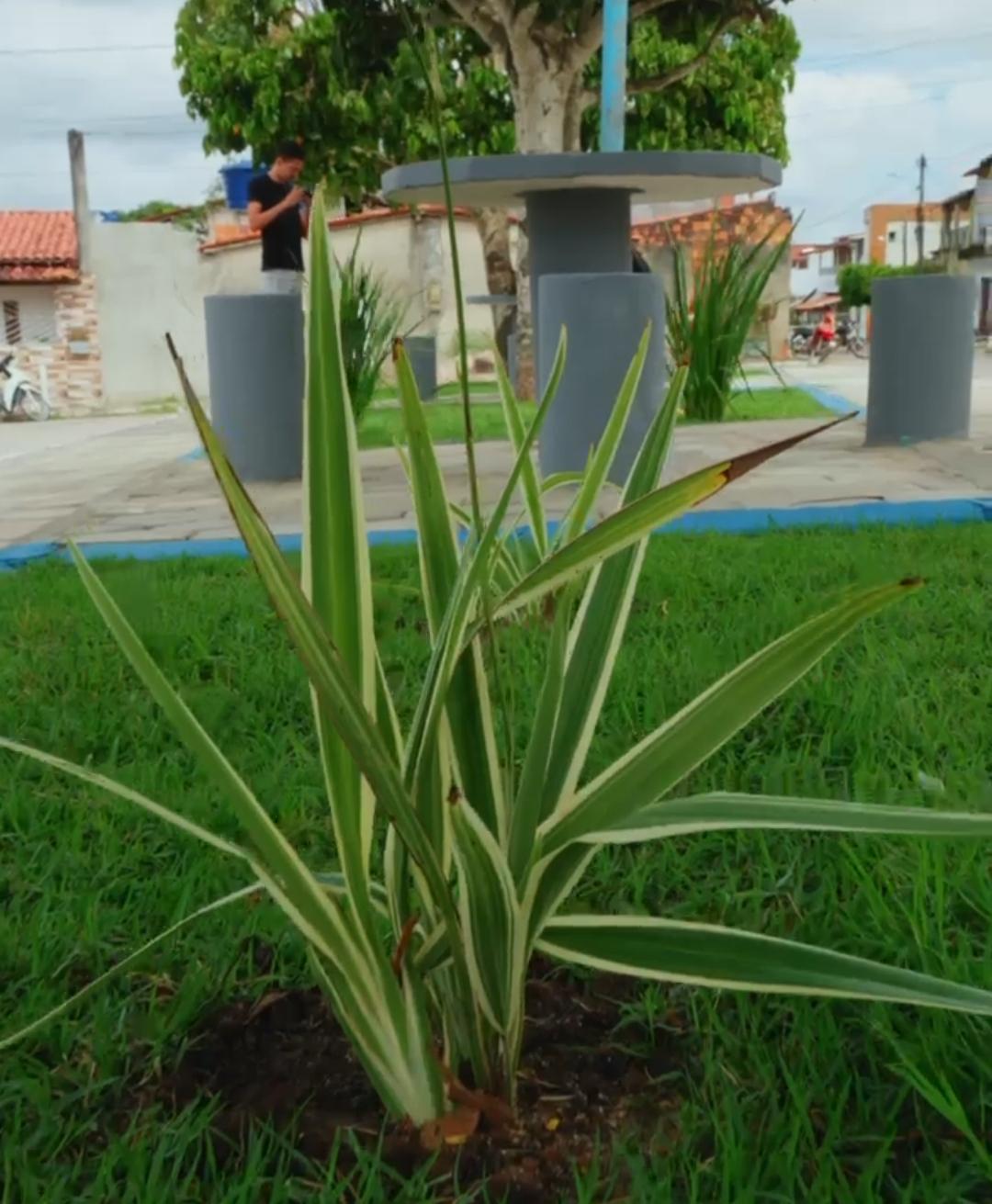 Bairro Colina das Mangueiras ganha novo espaço de convivência após requalificação