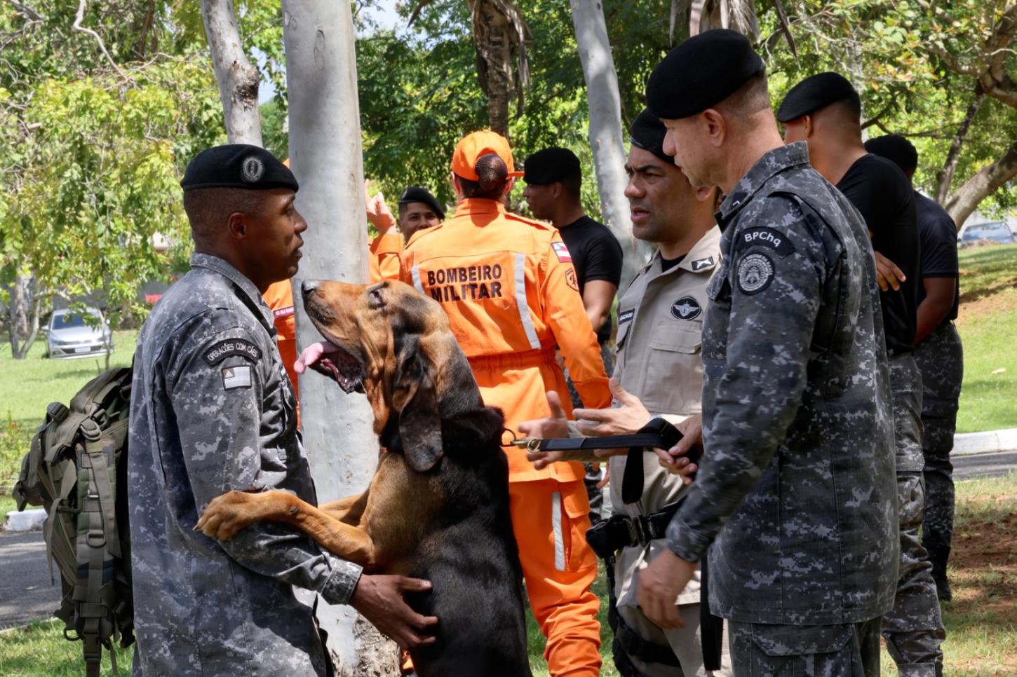 PM da Bahia treina cães para localizar pessoas desaparecidas e suspeitos