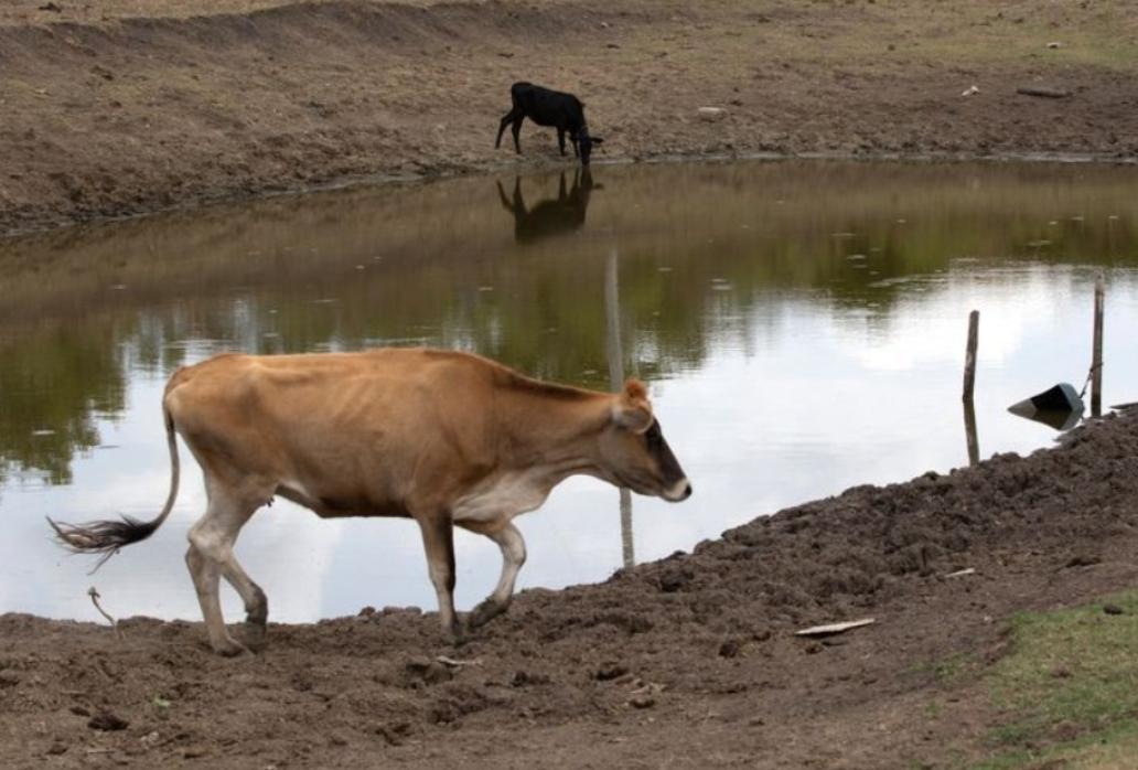 El Niño está mudando o clima e o Nordeste pode sentir os efeitos; veja o que prevê a nova projeção