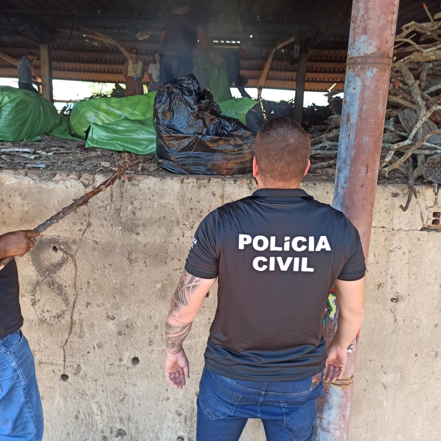 Polícia Civil destrói cerca de 100 quilos de drogas em Serrinha; maconha e cocaína são incineradas