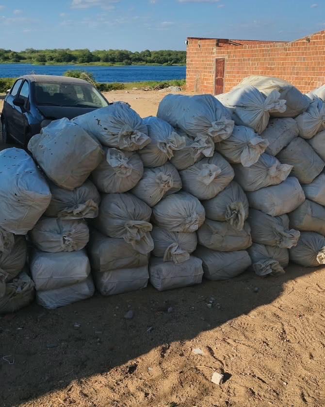 Polícia encontra 323 kg de maconha escondidos entre caixas de frutas em caminhão na BR-116 na Bahia