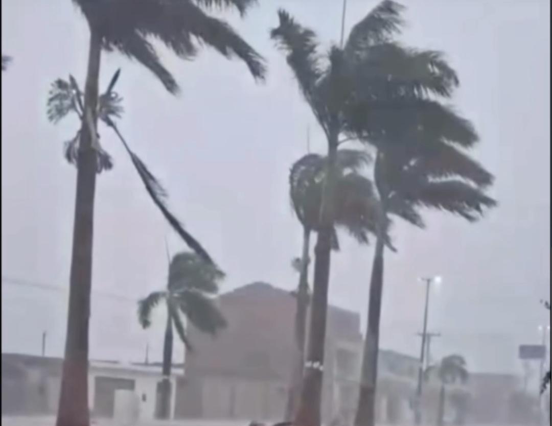 Vídeo: chuva de granizo e ventos fortes surpreendem moradores de município da região do sisal 